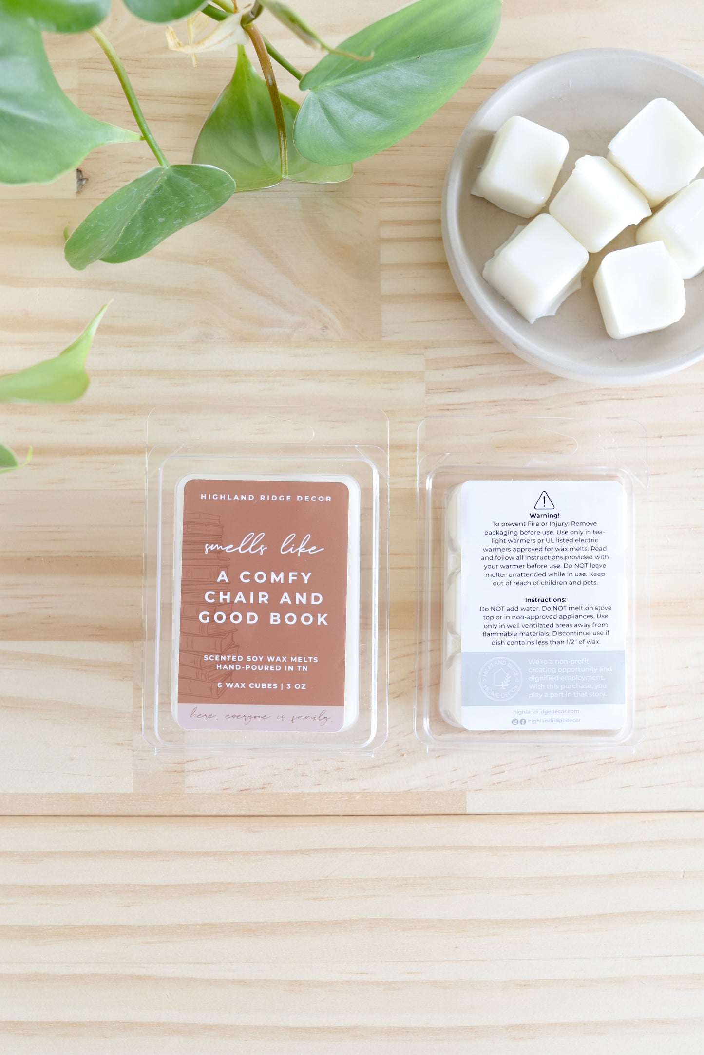 A Good Book and Comfy Chair Wax Melt