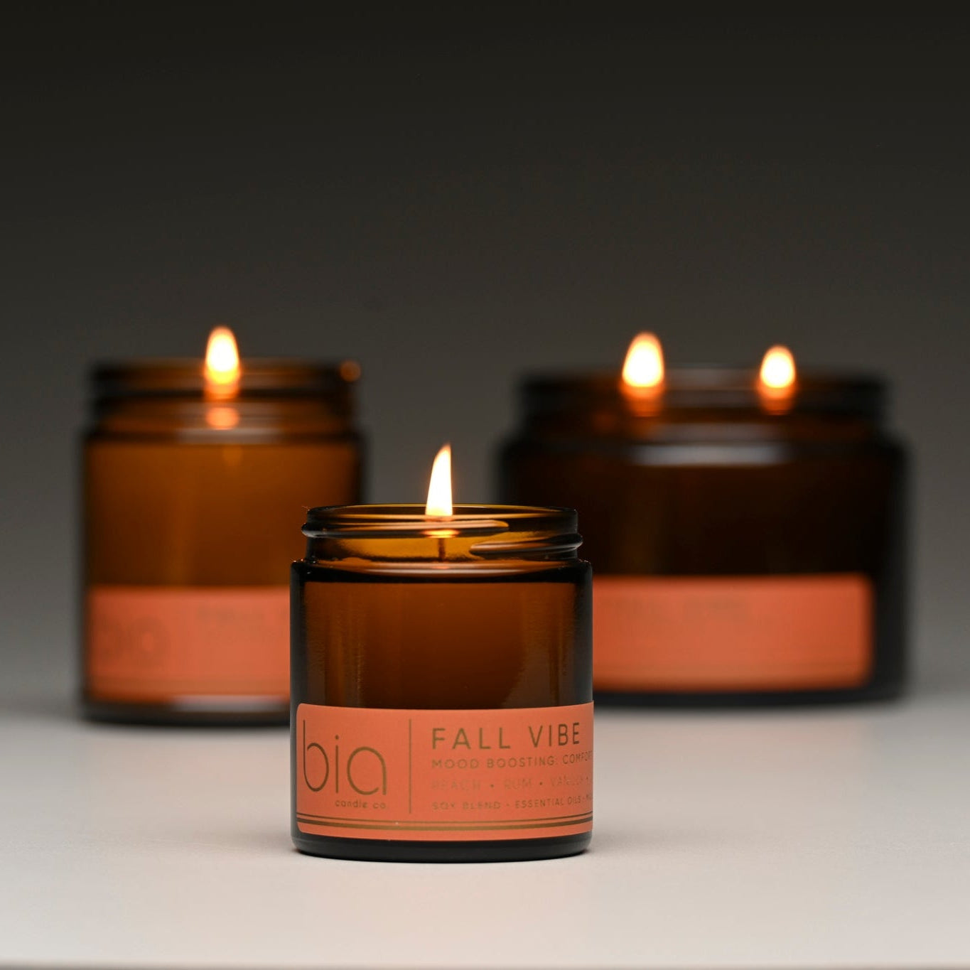 Fall Vibe Functional Fragrance Soy Blend Candle — Spiced Fruit, Cedarwood & Vanilla