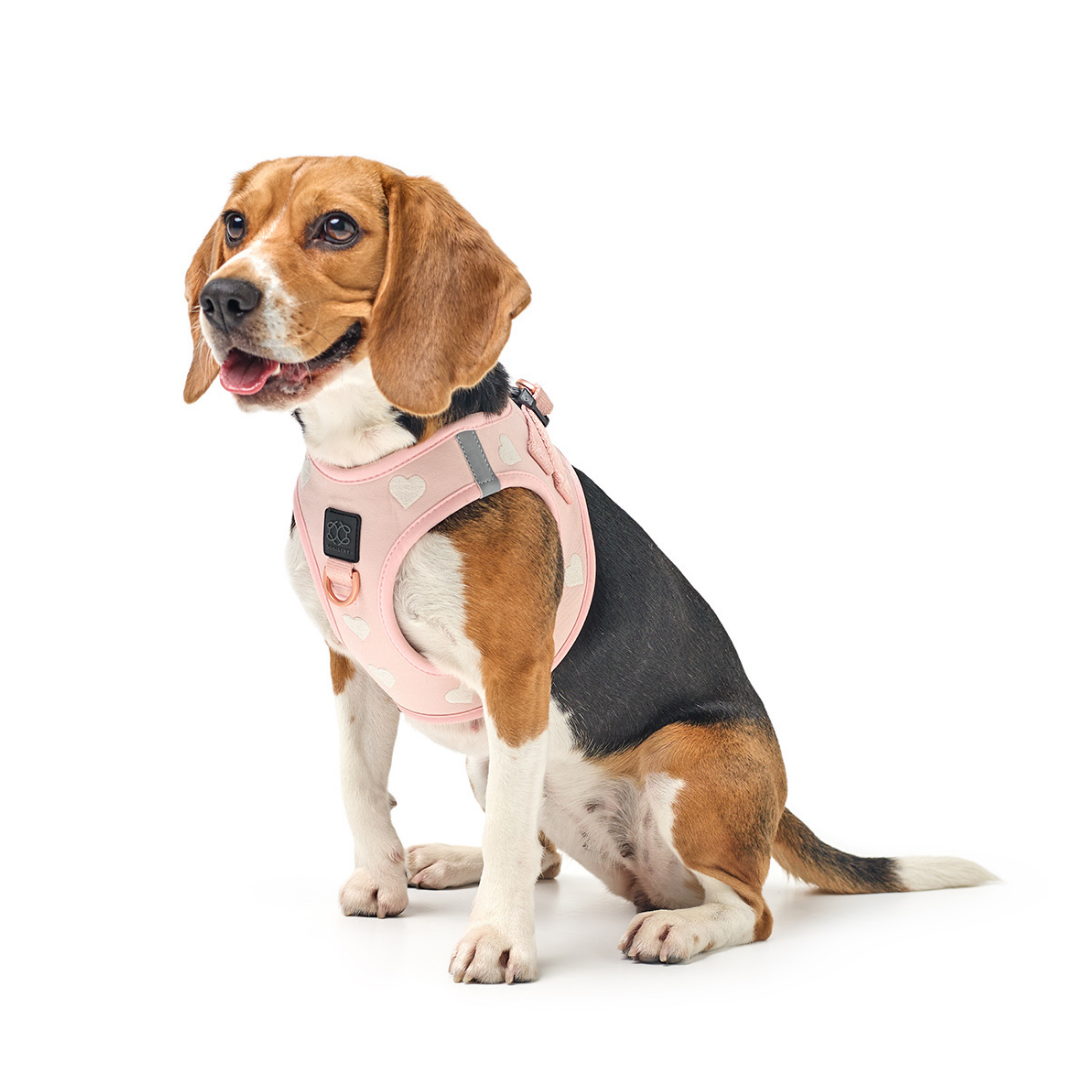 SoHo Dog Walking Set - Sweetheart