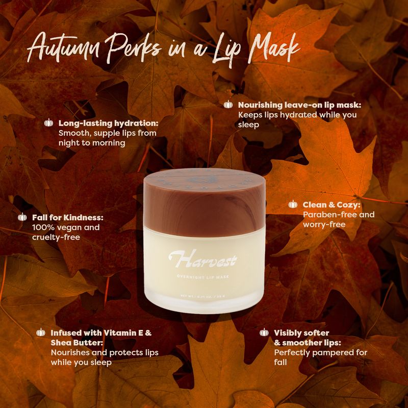 Pumpkin Spice | Harvest Overnight Lip Mask