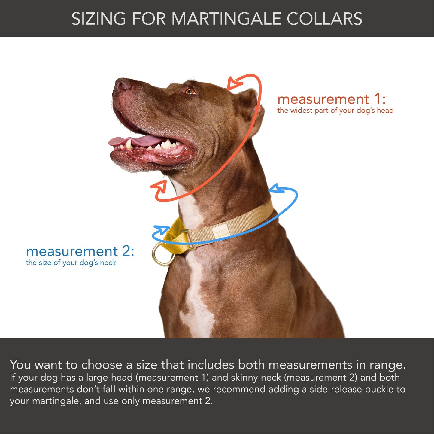 Martingale Dog Collar – Rose + Grape
