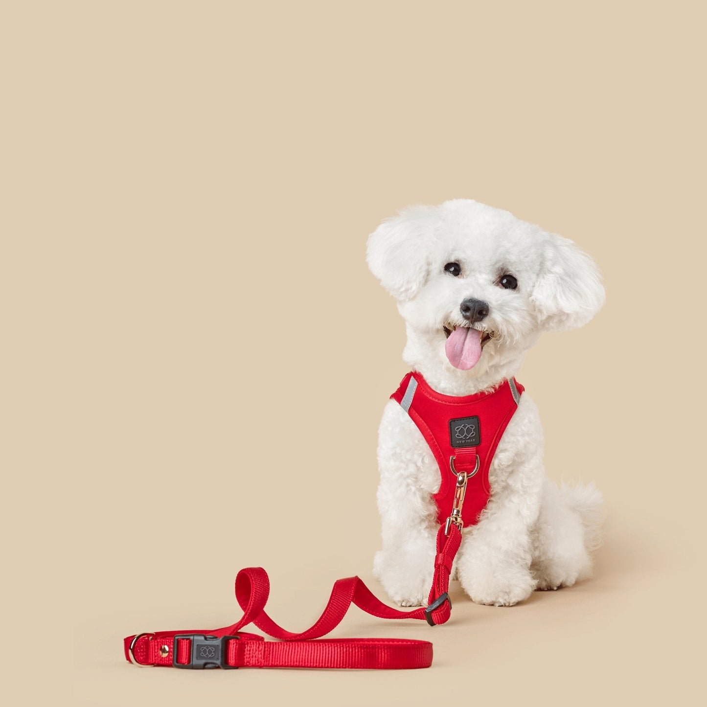 SoHo Dog Walking Set - Iconic Red