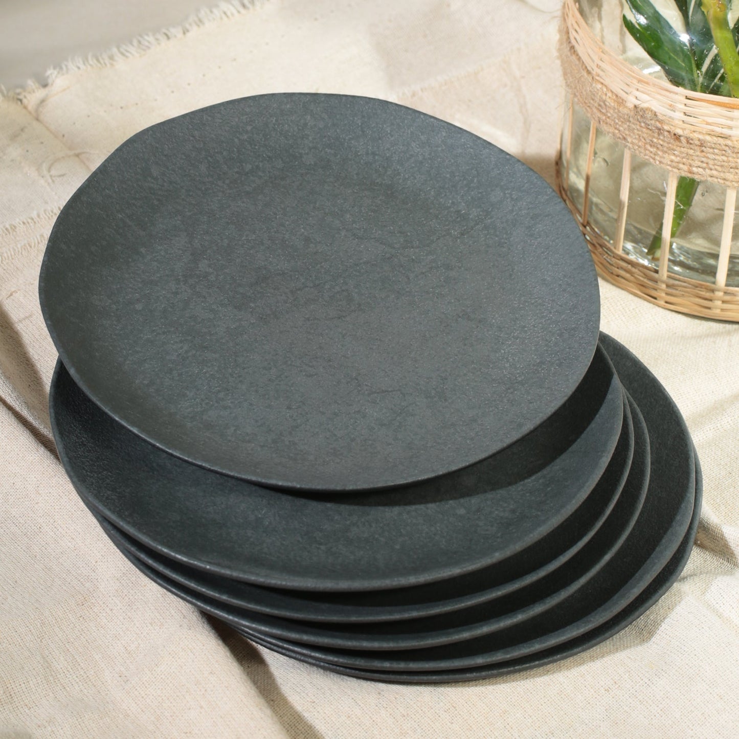 Dinner Plate Set of 4