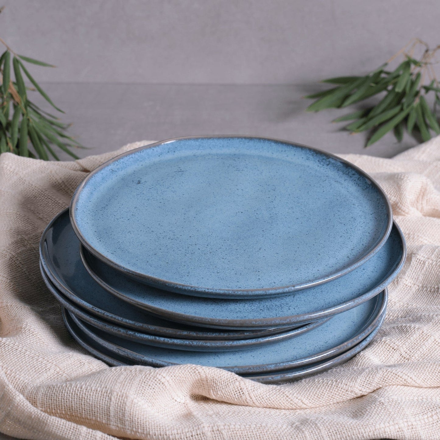 Dinner Plate Set of 4