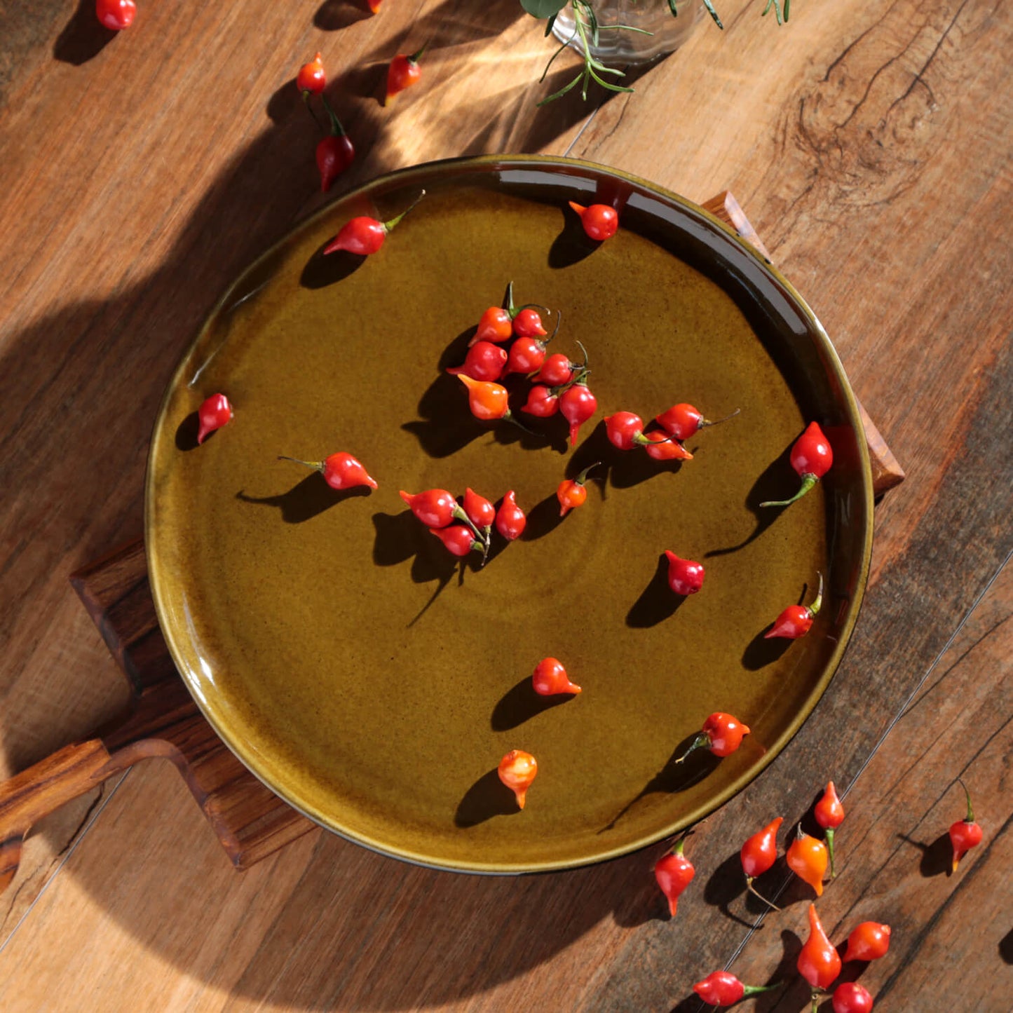 Dinner Plate Set of 4