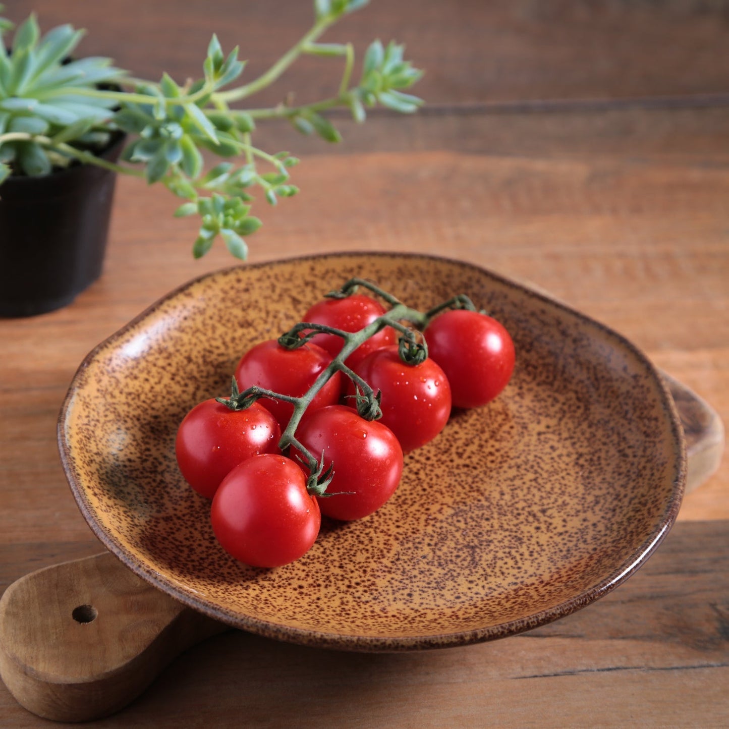 Dessert Plate Set of 4