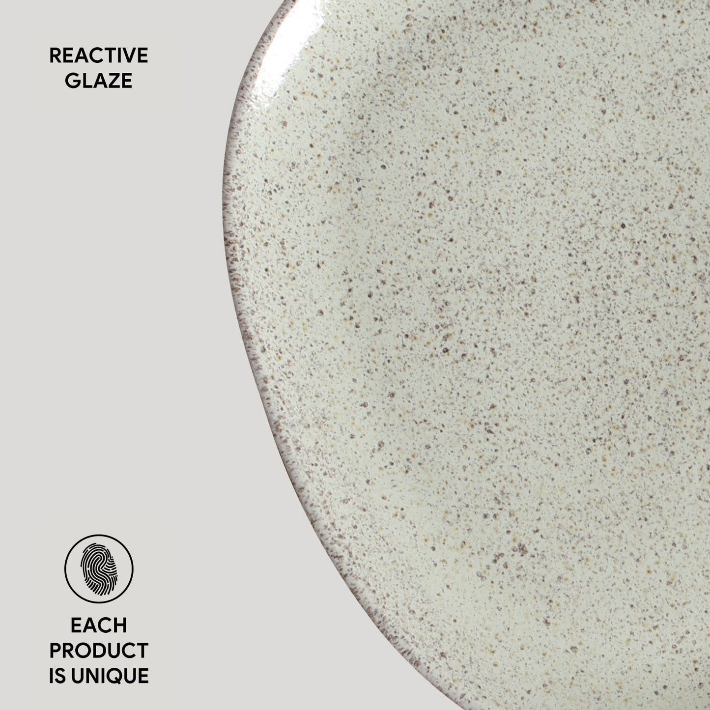 Oval Dinner Plate Set of 4