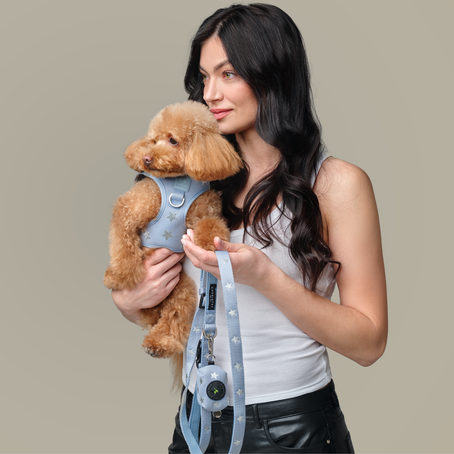 3-in-1 City Dog Leash - Rockstar Hudson