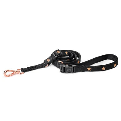 SoHo Complete Dog Walking Set - Rockstar
