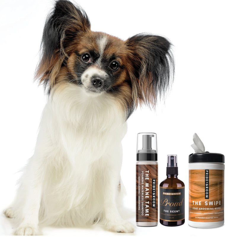 THE MID GROOM BUNDLE — Premium Waterless Shampoo, Wipes & Deodorizing Spray for Dogs In Between Grooms
