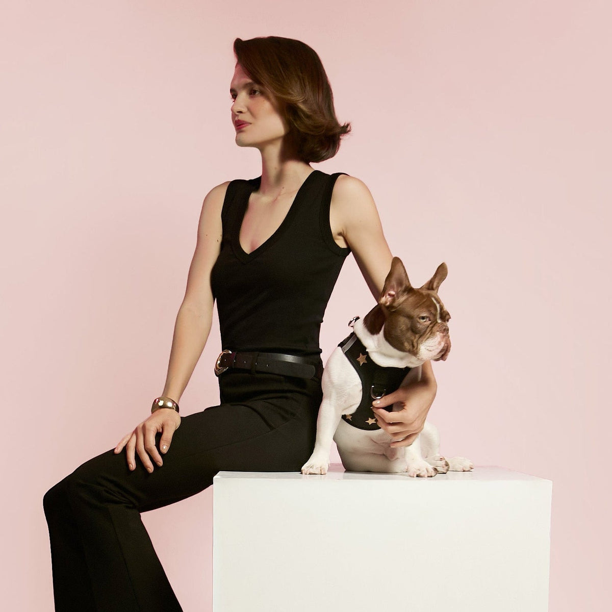 SoHo Complete Dog Walking Set - Rockstar