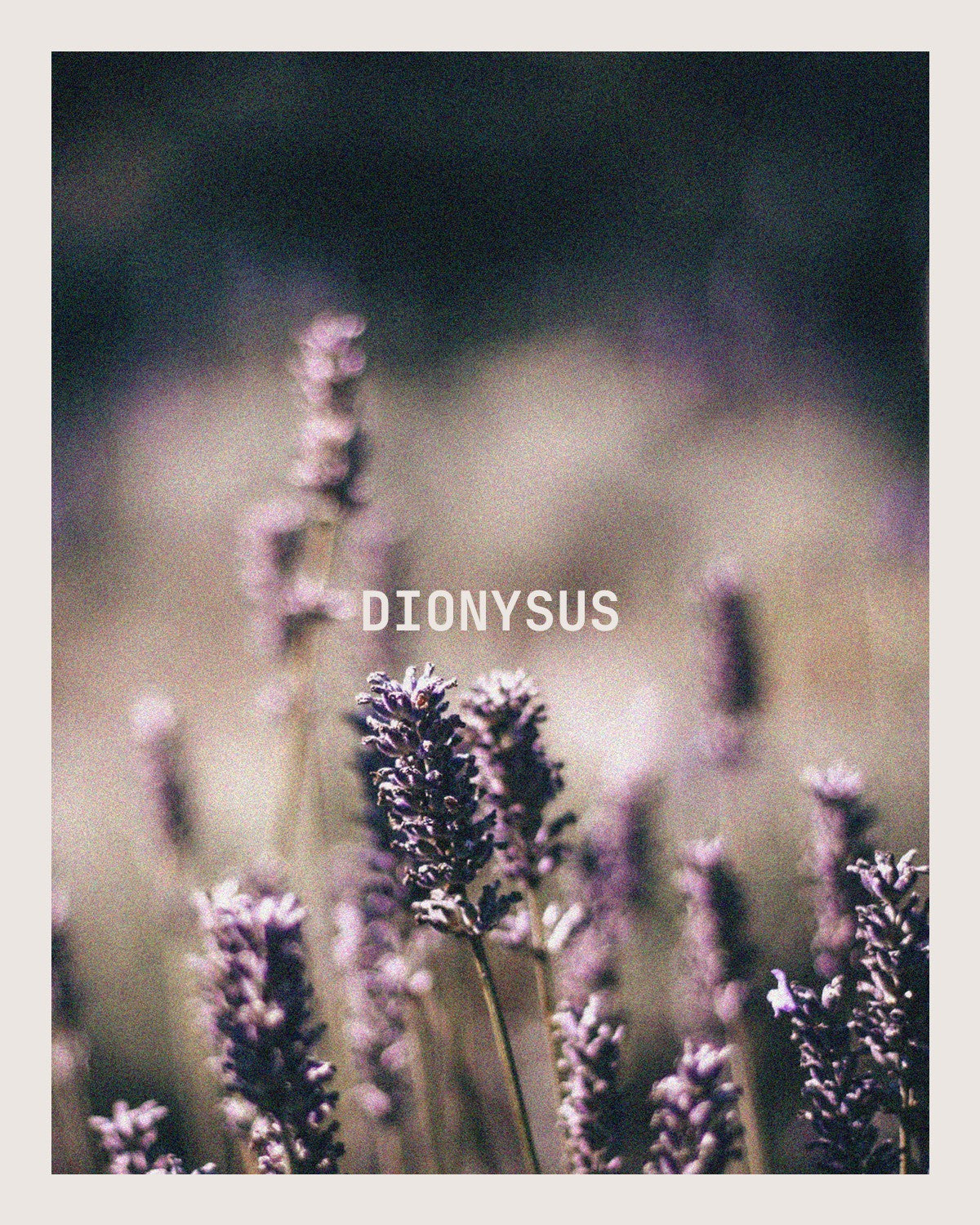 Dionysus