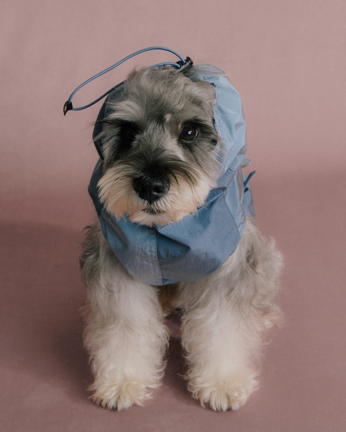 The Ventus | Reflective Waterproof Dog Raincoat | Slate Blue