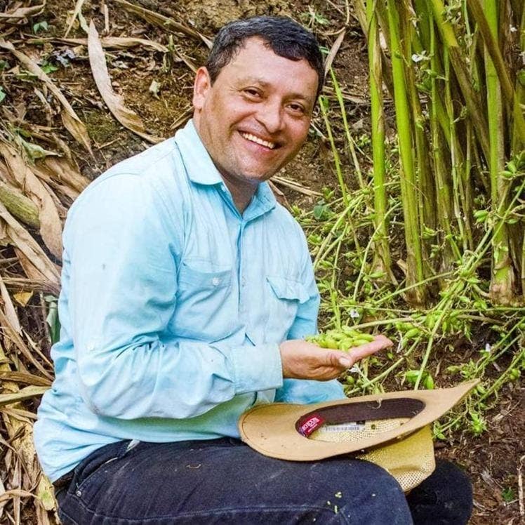Cobanero Chili | Cobán, Guatemala