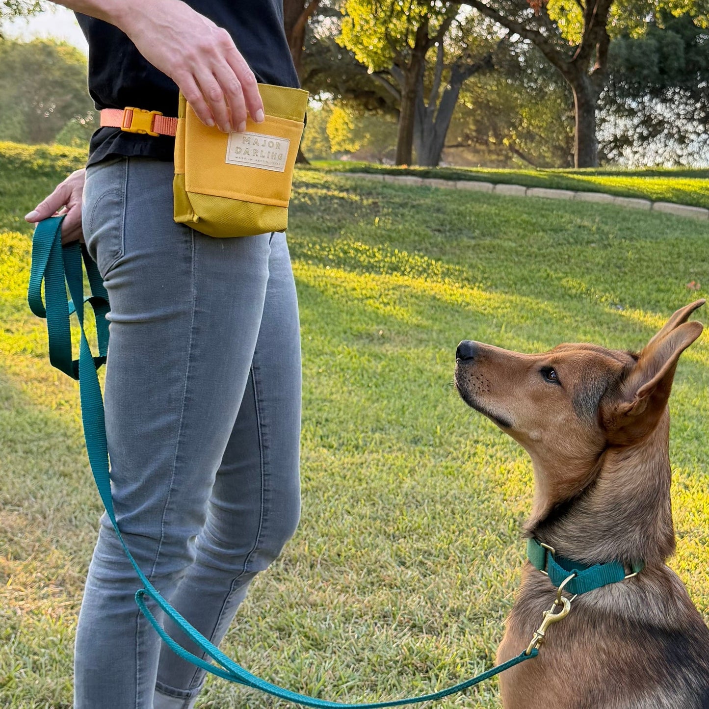 Major Darling Training Treat Pouch