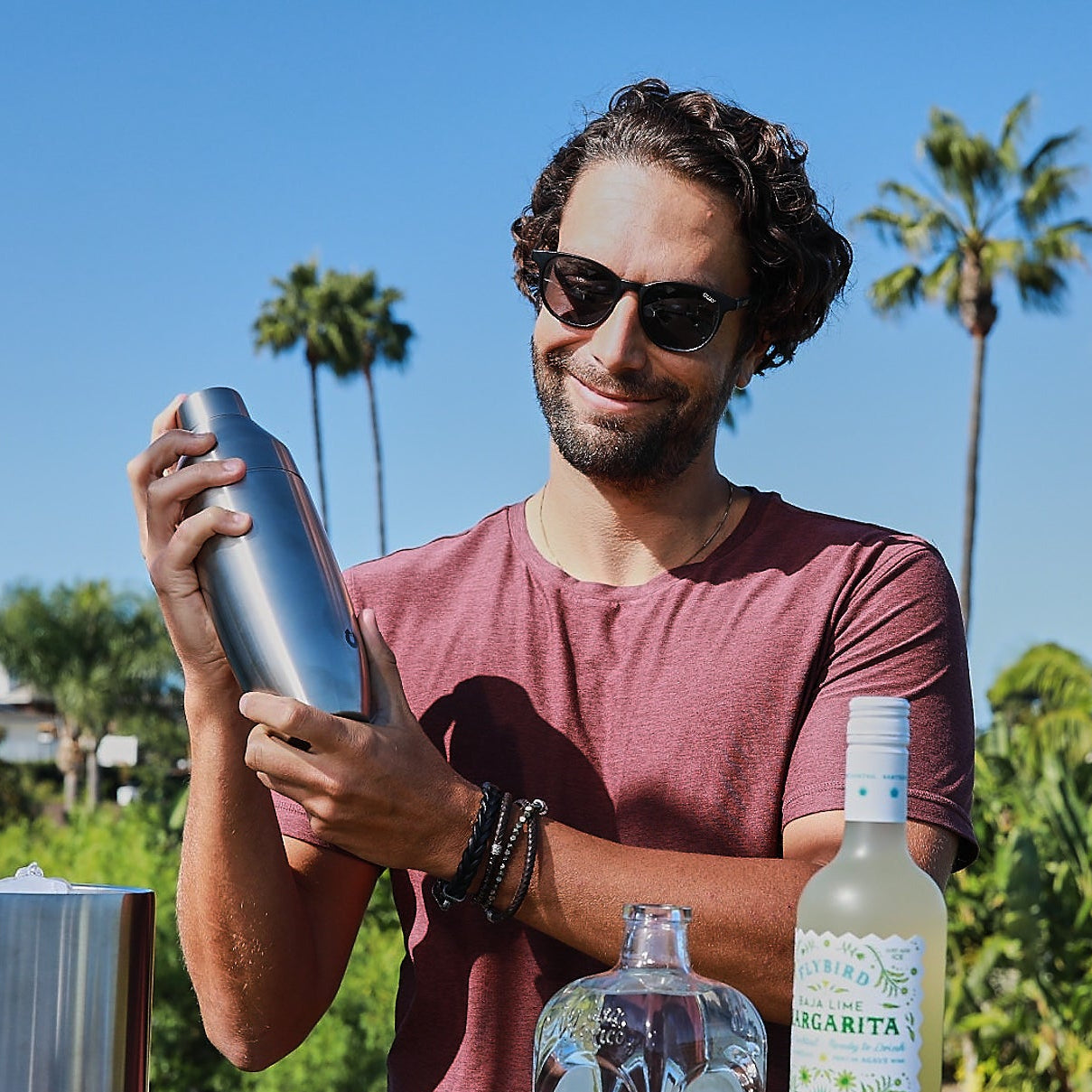 Stainless Steel Cocktail Shaker, Steel