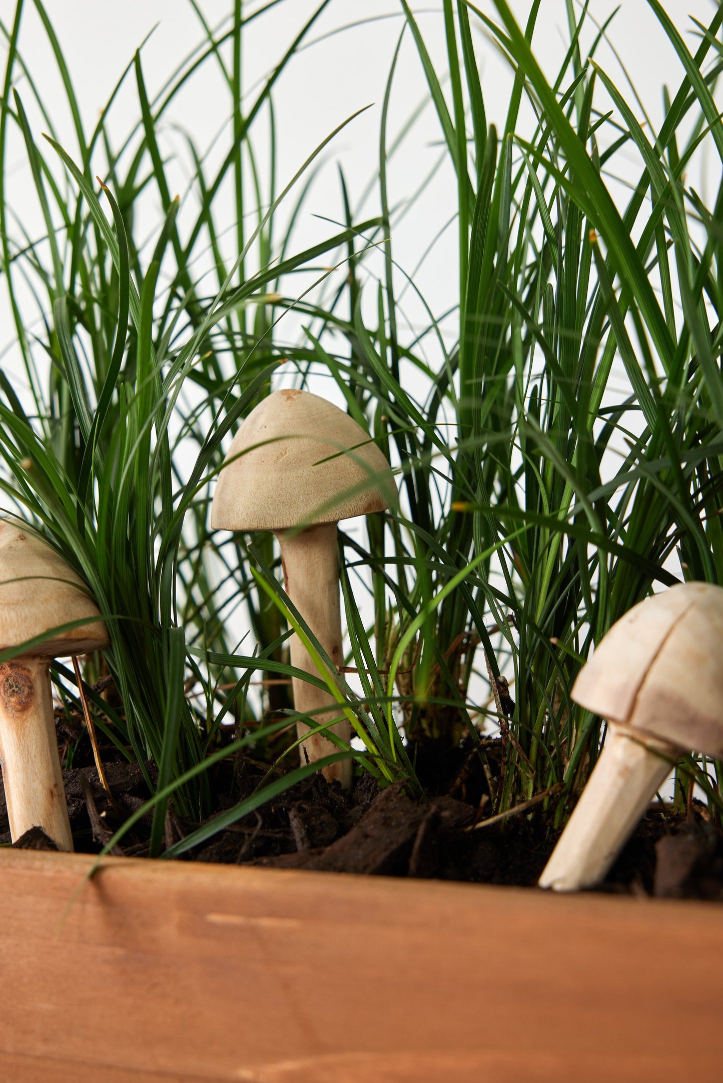 Wooden Mushroom Garden Stick
