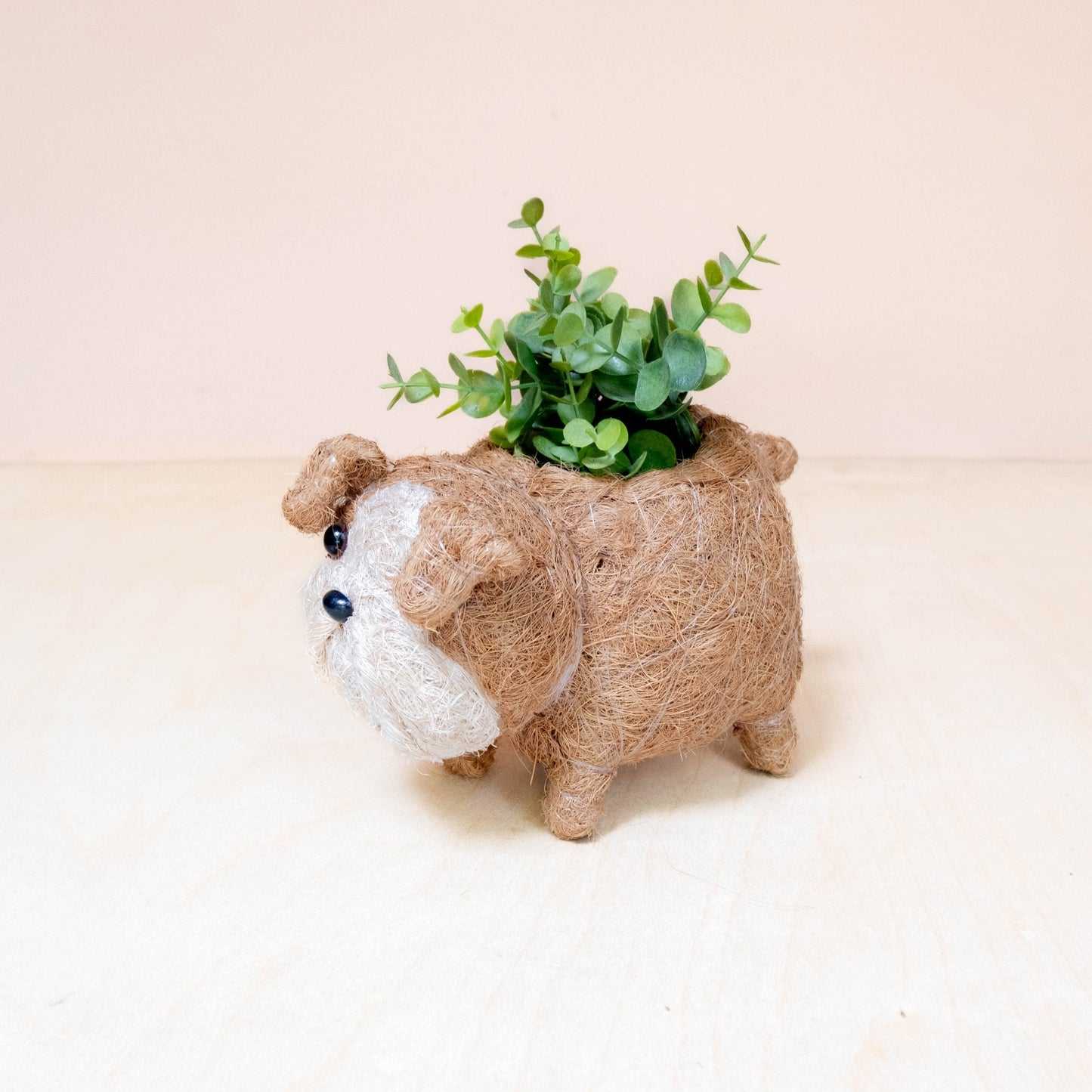Baby English Bulldog Planter - Handcrafted Planter | LIKHÂ