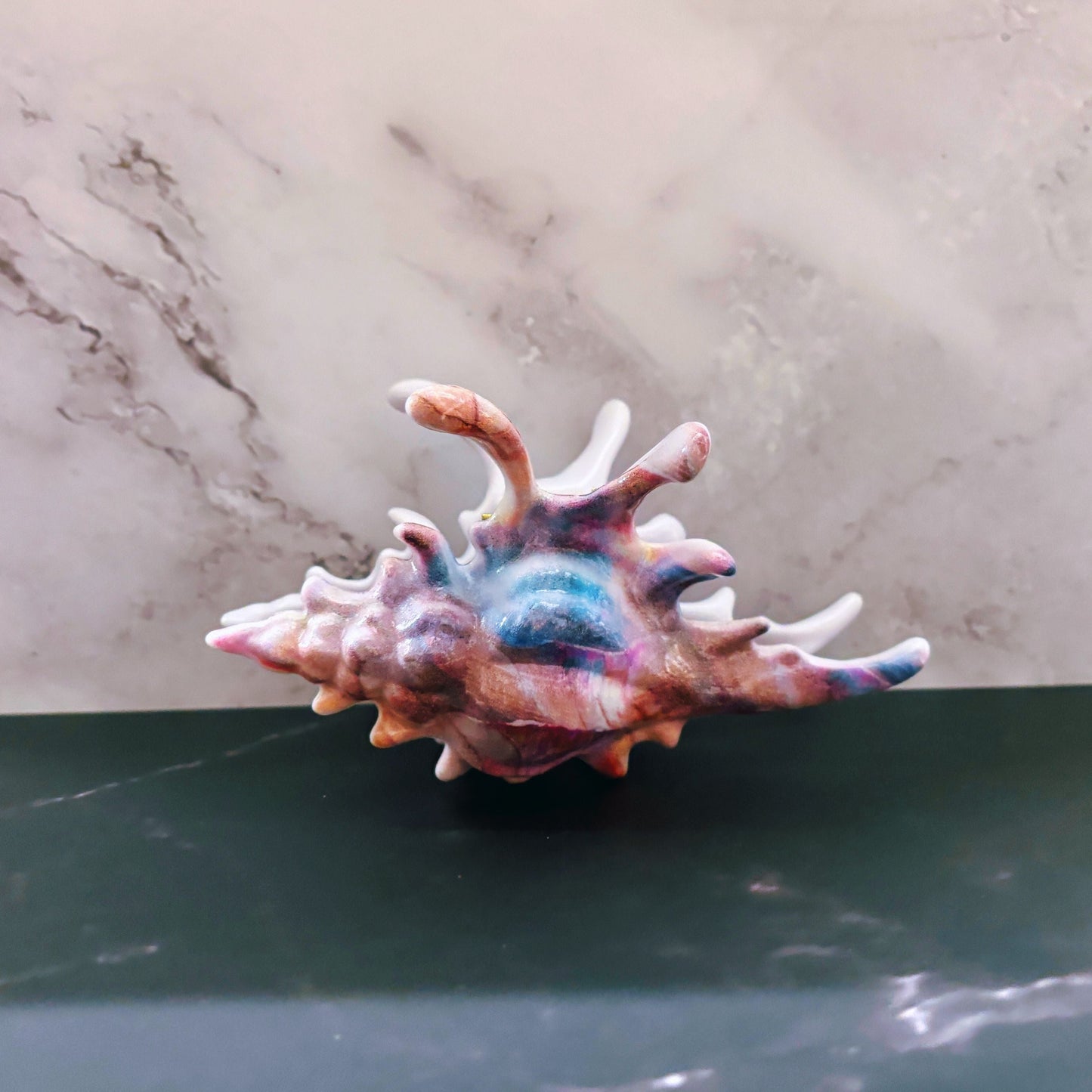 Velvet Claws Realistic Conch Shell Hair Claw in Mermaid Colors | Claw Clip in Velvet Travel Bag