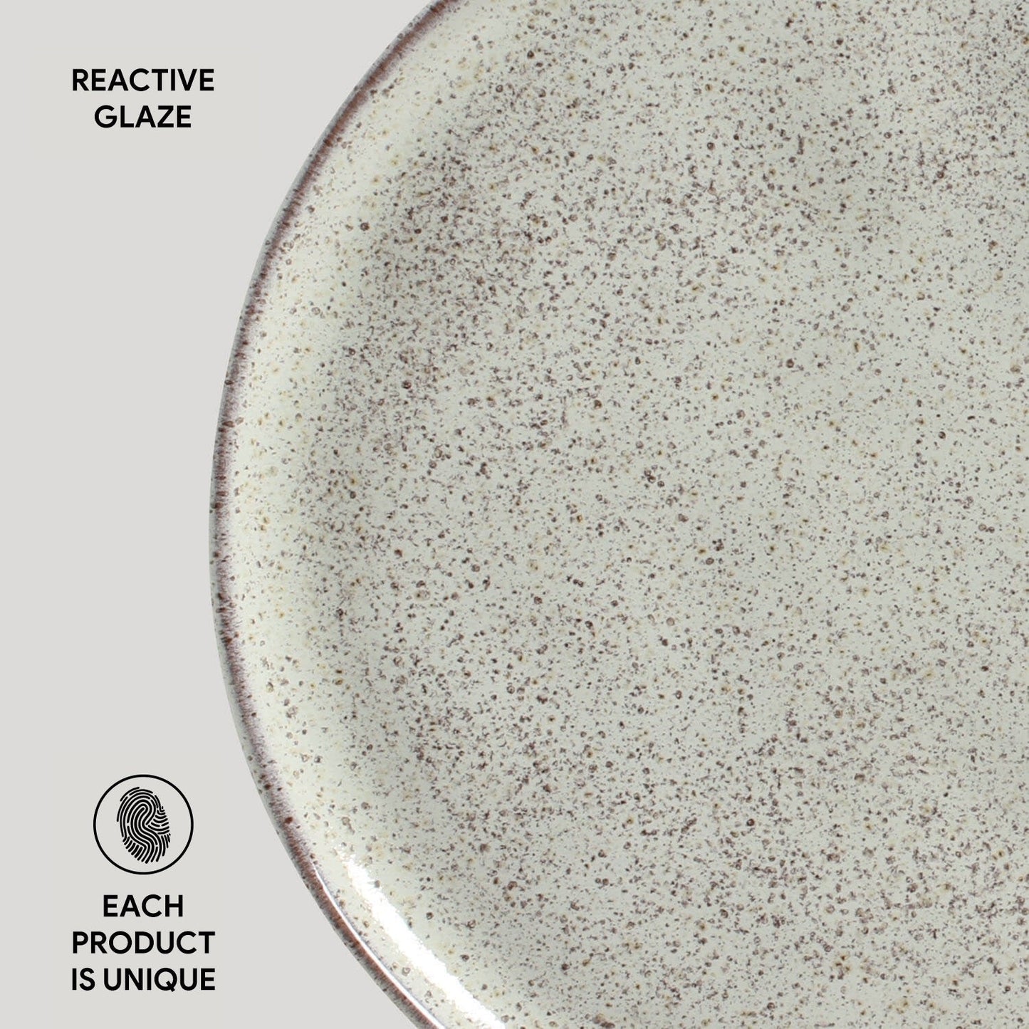 Dinner Plate Set of 6