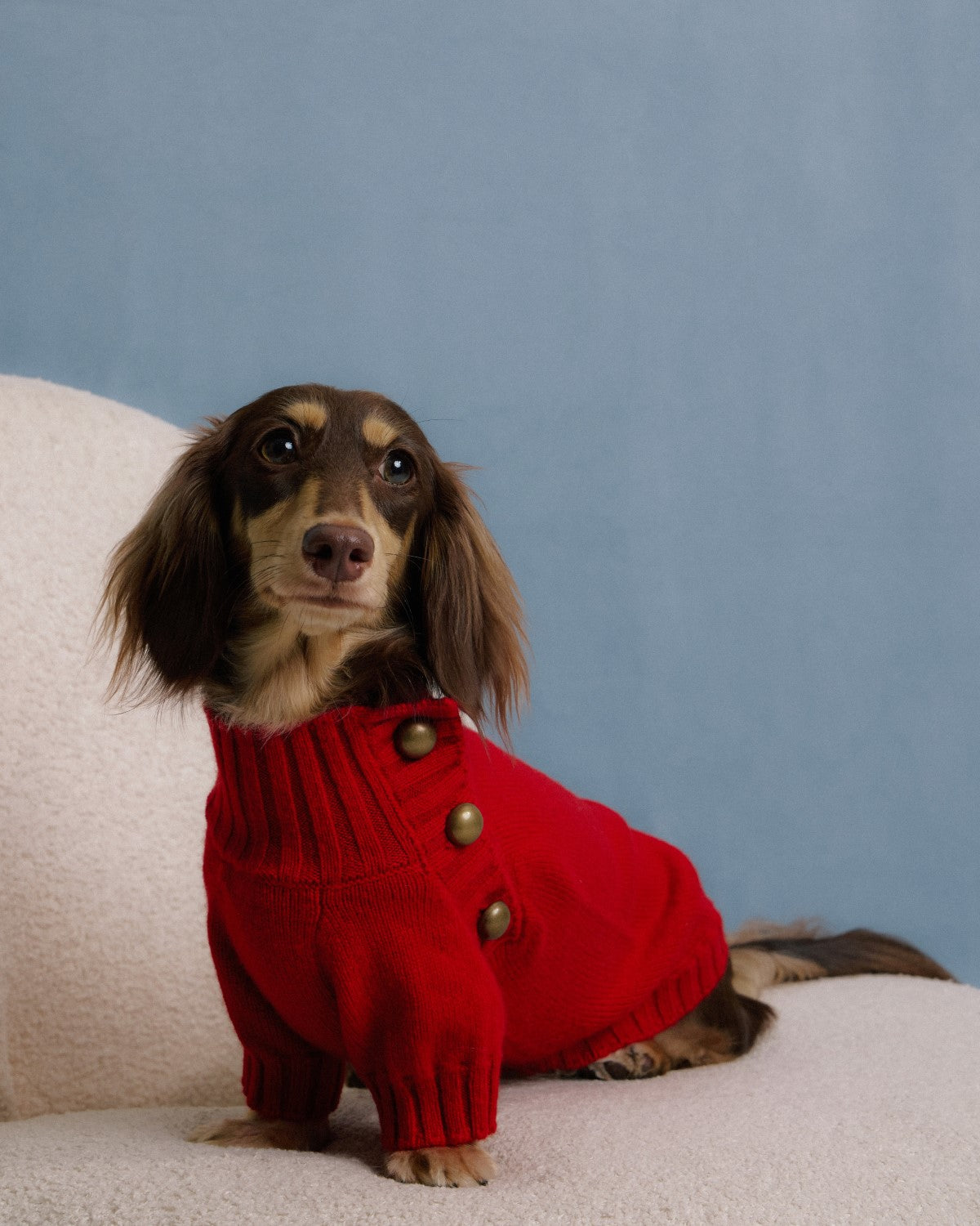 The Lutetia | Merino Wool Dog Sweater | Red