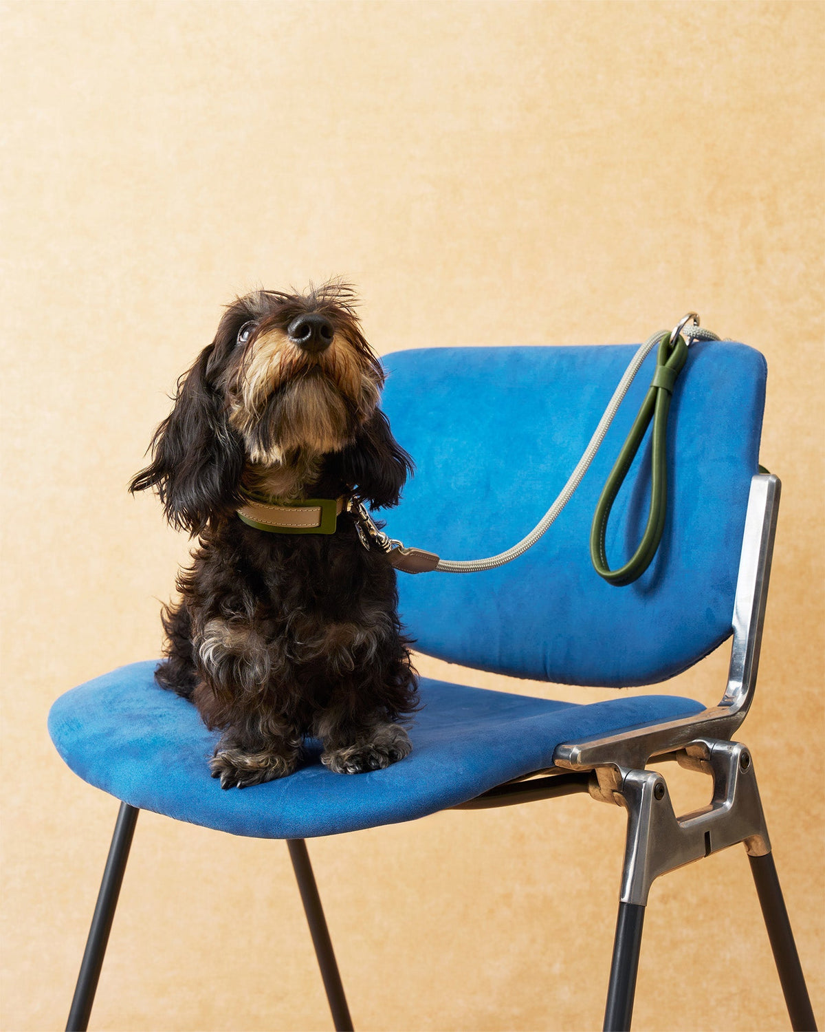 The Alinea Leather Dog Leash | Willow Sage