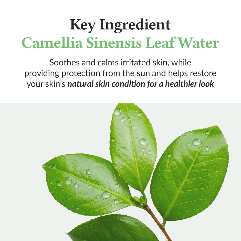 Dr. Althea Green Tea Fresh Sunscreen SPF50+ PA++++ - Osadia Concept Store