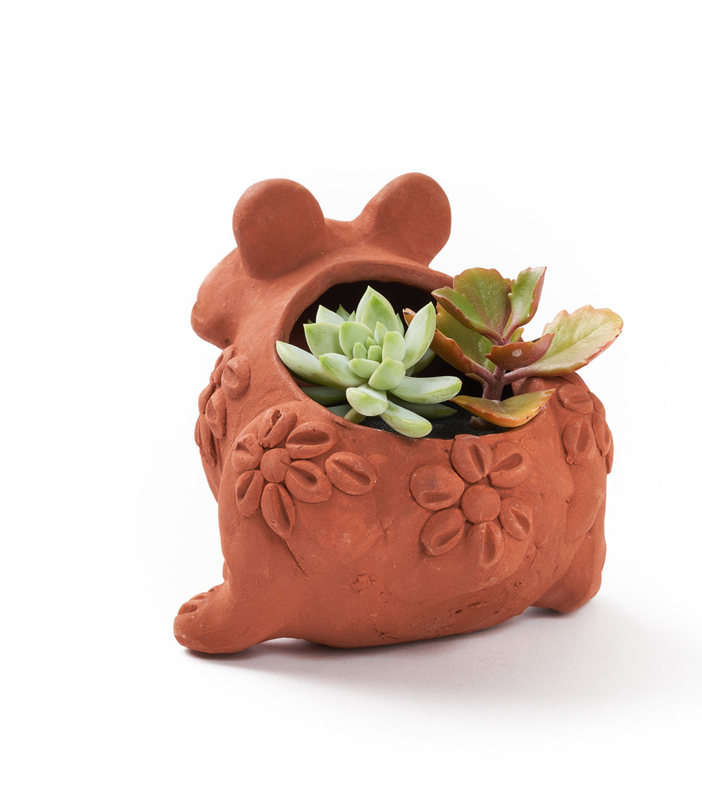 Rakshana Frog Plant Pot - Terracotta - Osadia Concept Store