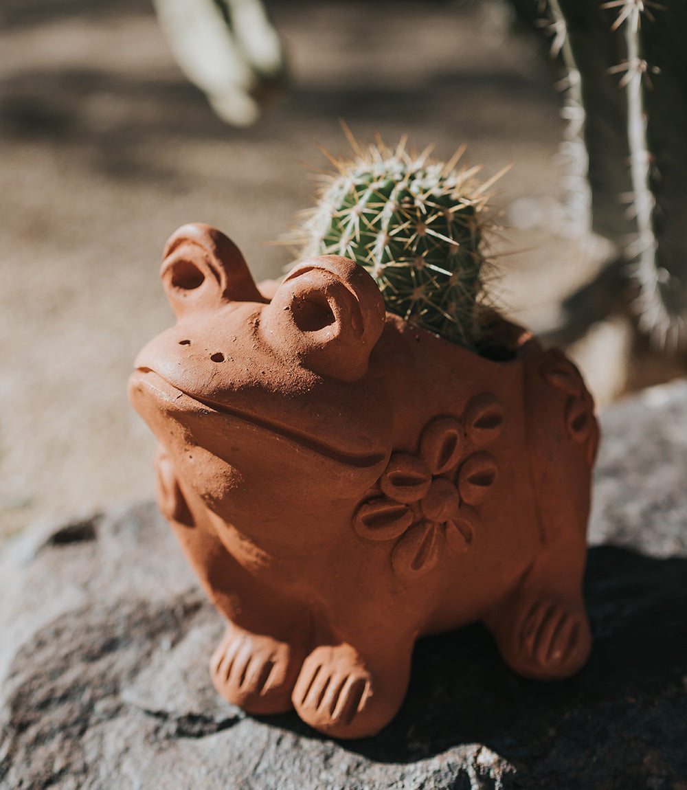 Rakshana Frog Plant Pot - Terracotta - Osadia Concept Store