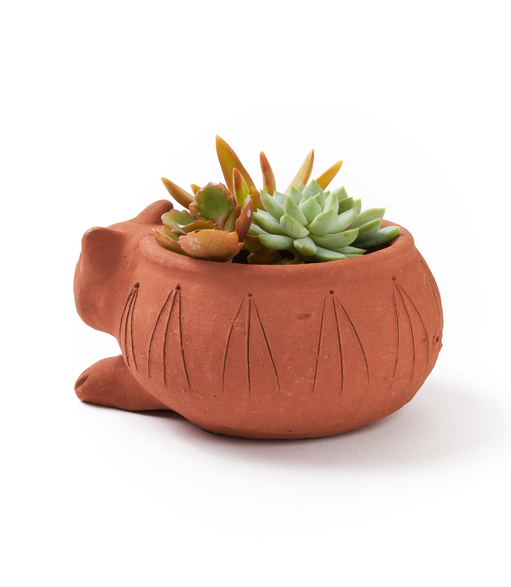Rakshana Cat Plant Pot - Terracotta - Osadia Concept Store