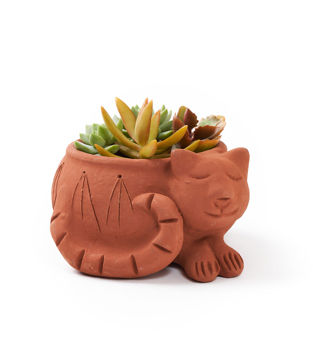 Rakshana Cat Plant Pot - Terracotta - Osadia Concept Store