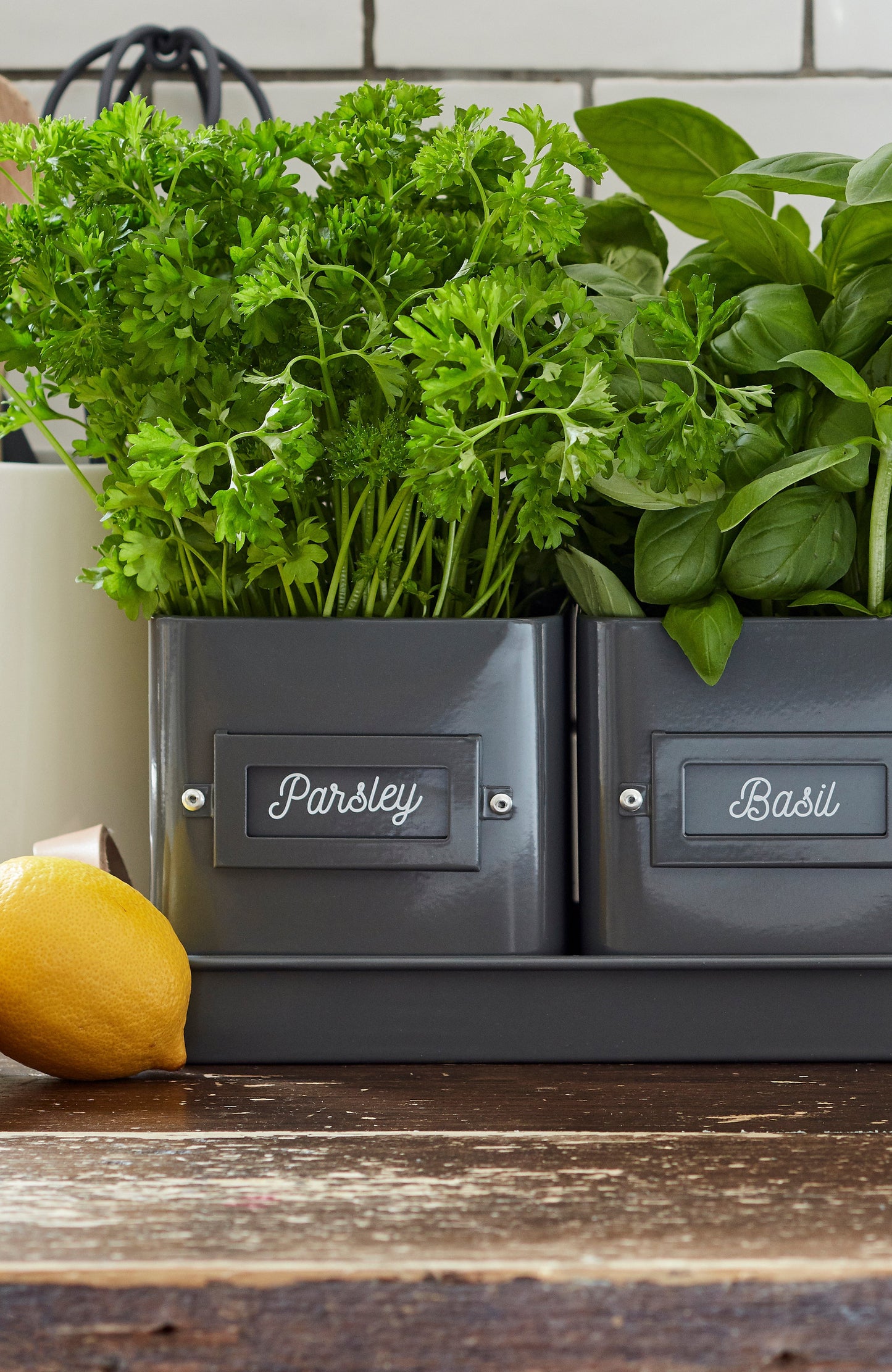 Burgon & Ball® 3 Herb Pots with Leather Handled Tray, Charcoal