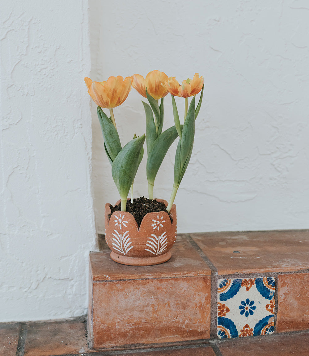 Vasanta Petals Planter - Terracotta - Osadia Concept Store
