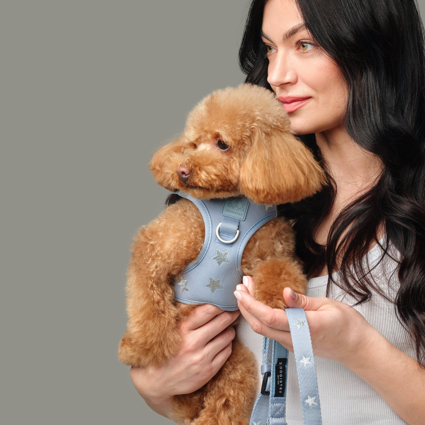 SoHo Dog Walking Set - Rockstar Hudson