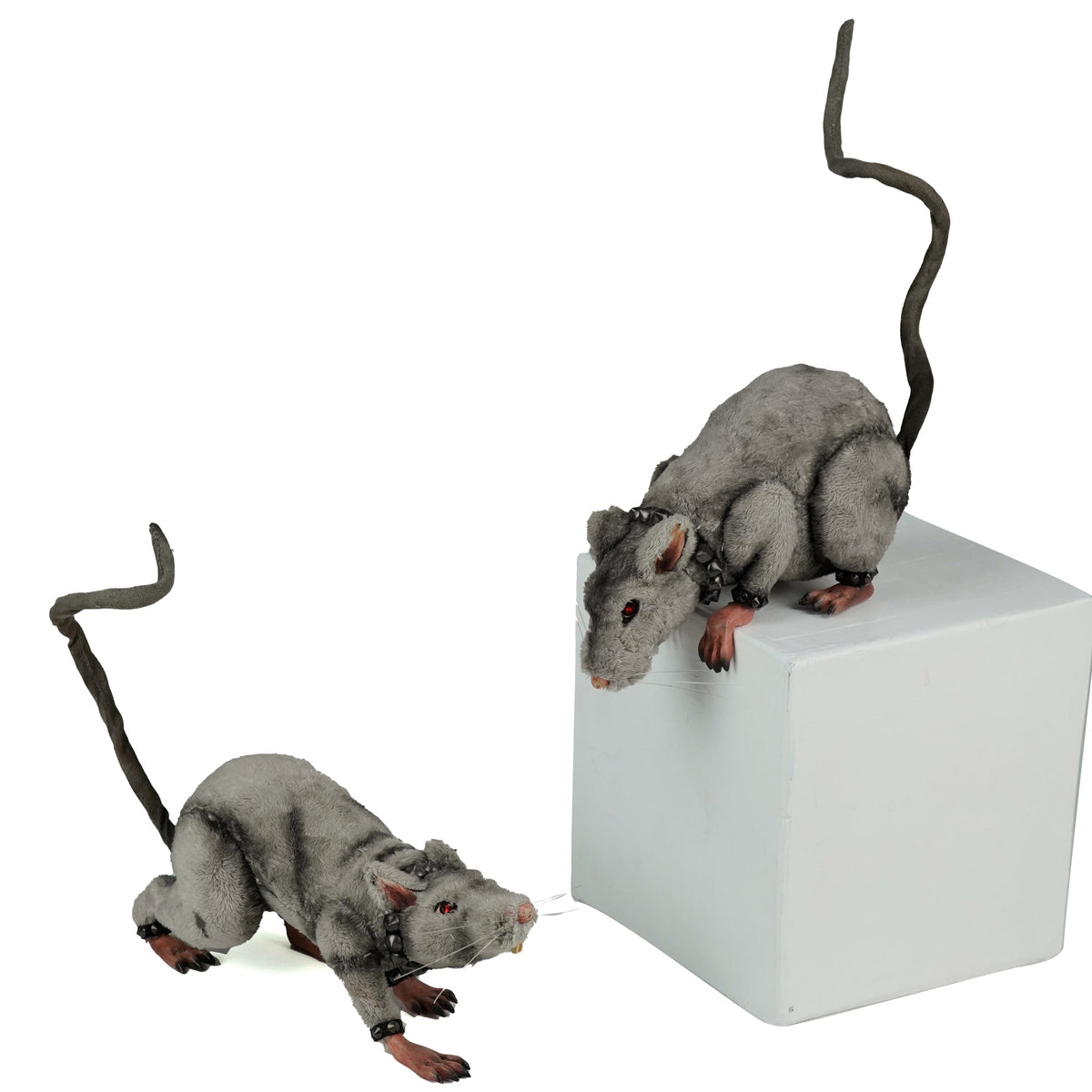 Tabletop and Ledge Hanging Rats Assortment of 2