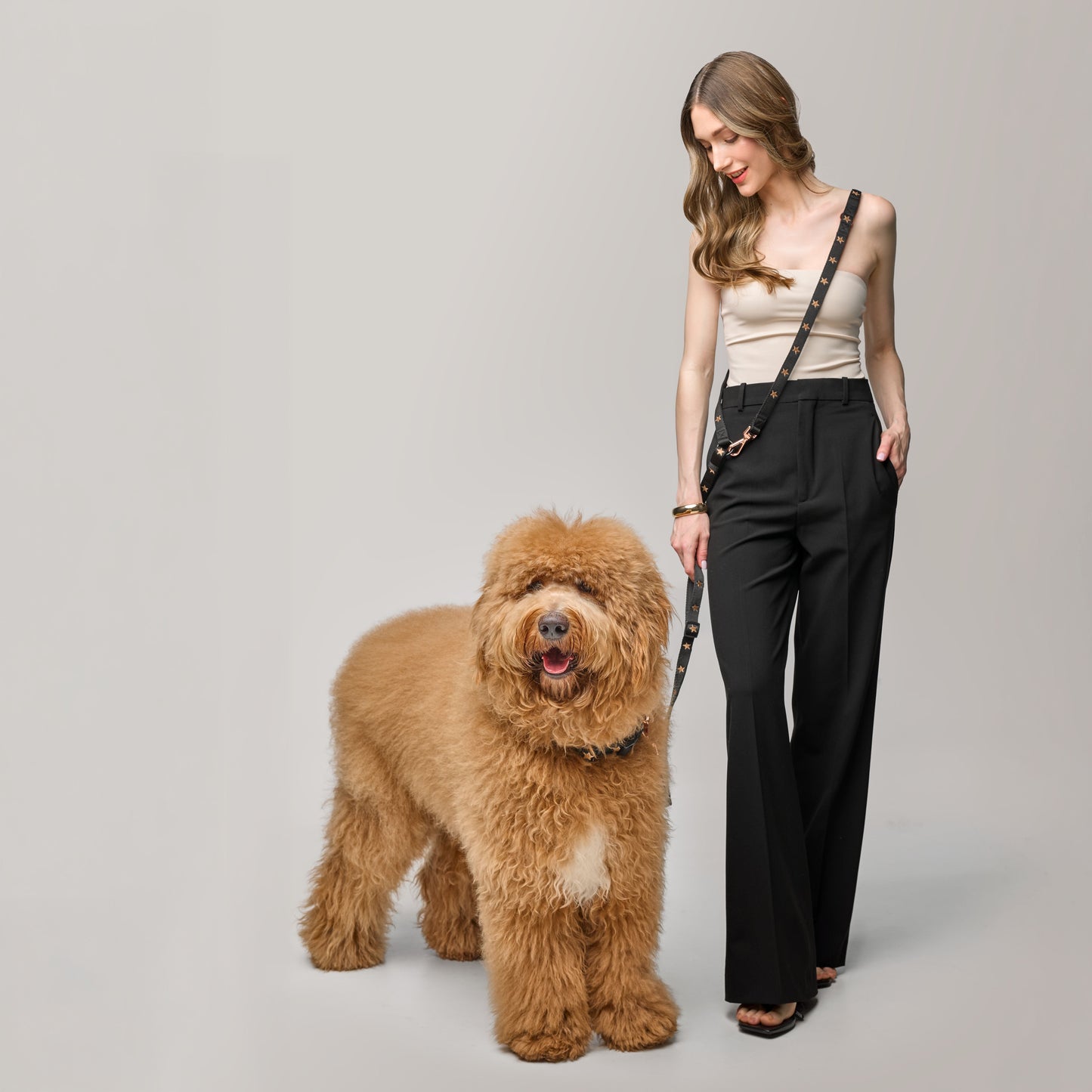 Metro Hands Free Leash - Rockstar