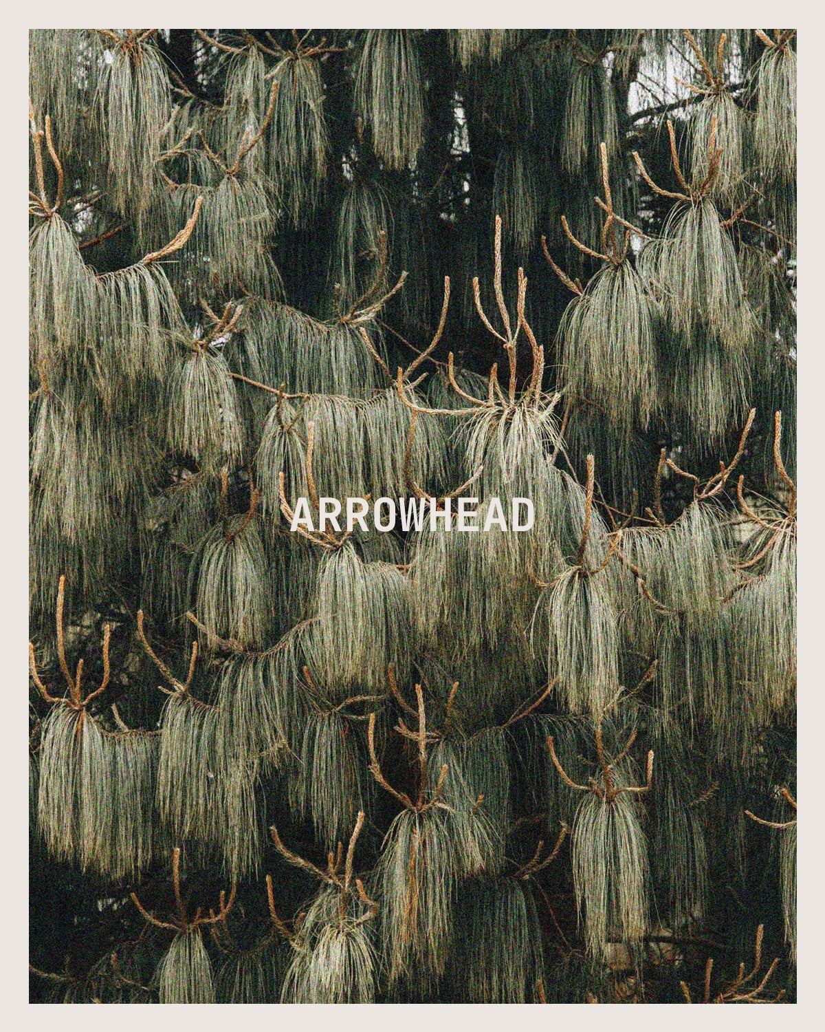 Arrowhead