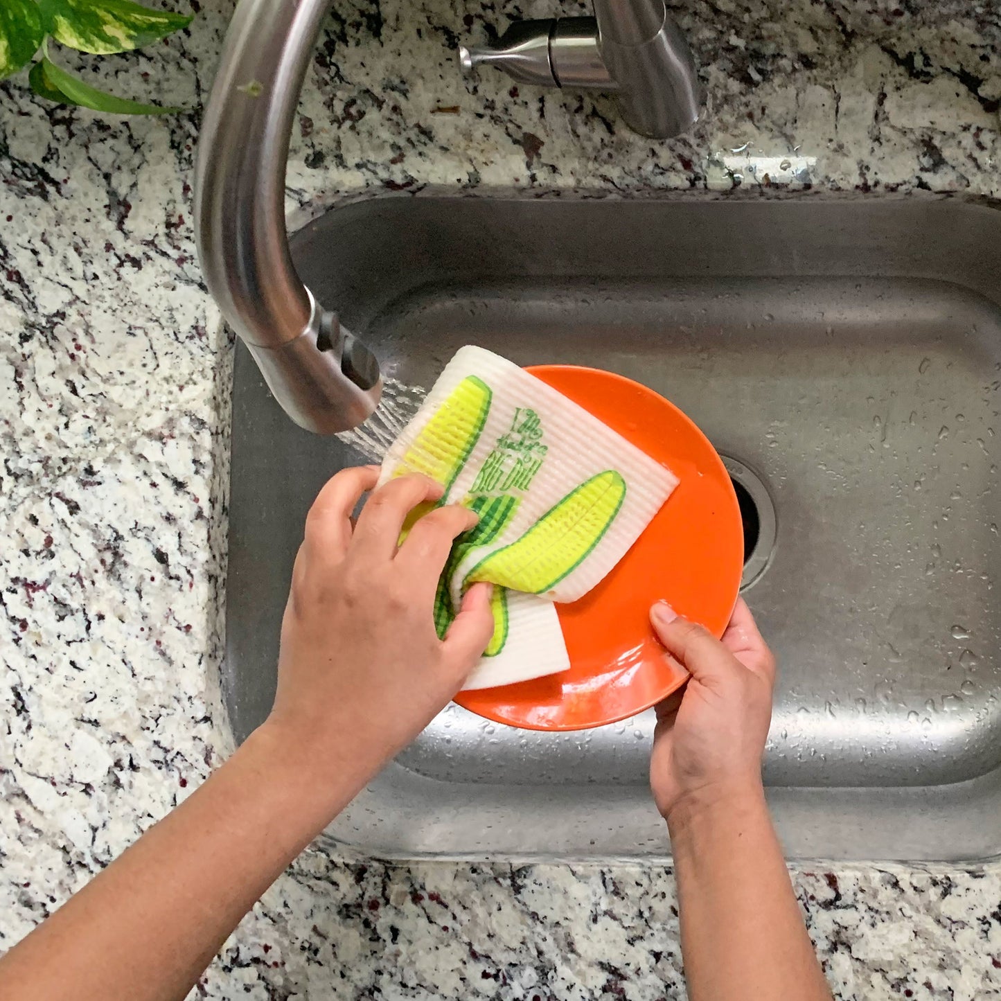 Pickle Dish Towel + Sponge Cloth Gift Set