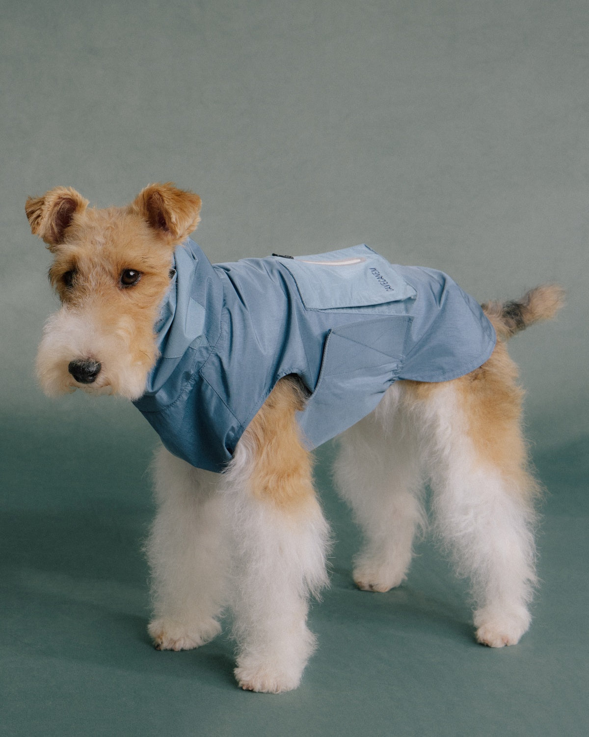 The Ventus | Reflective Waterproof Dog Raincoat | Slate Blue