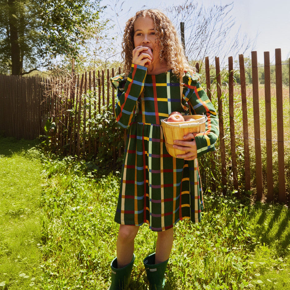Fall Grid Ruffle Dress