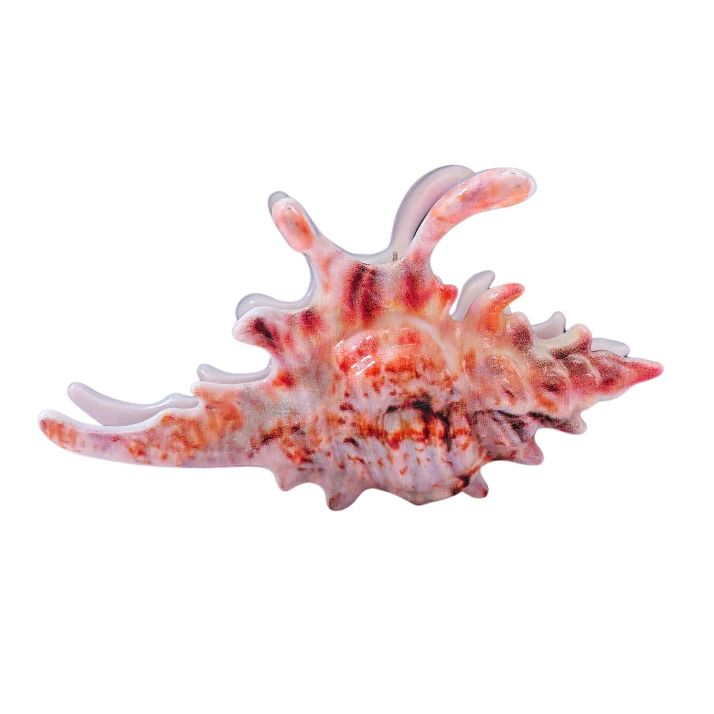 Velvet Claws Realistic Conch Shell Hair Claw in Natural Brown and White | Claw Clip in Velvet Travel Bag