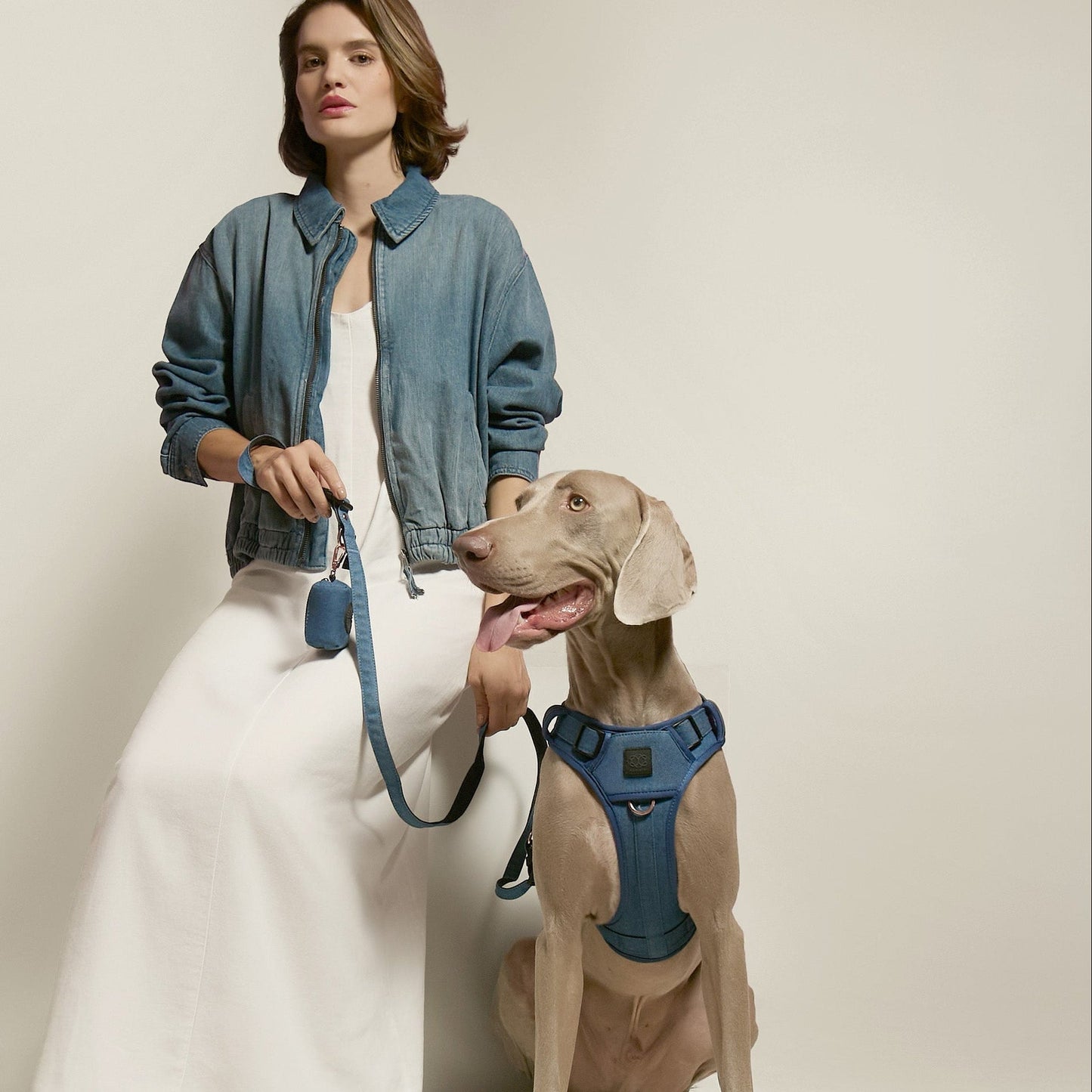 NoMad Adjustable Dog Walking Set - Denim