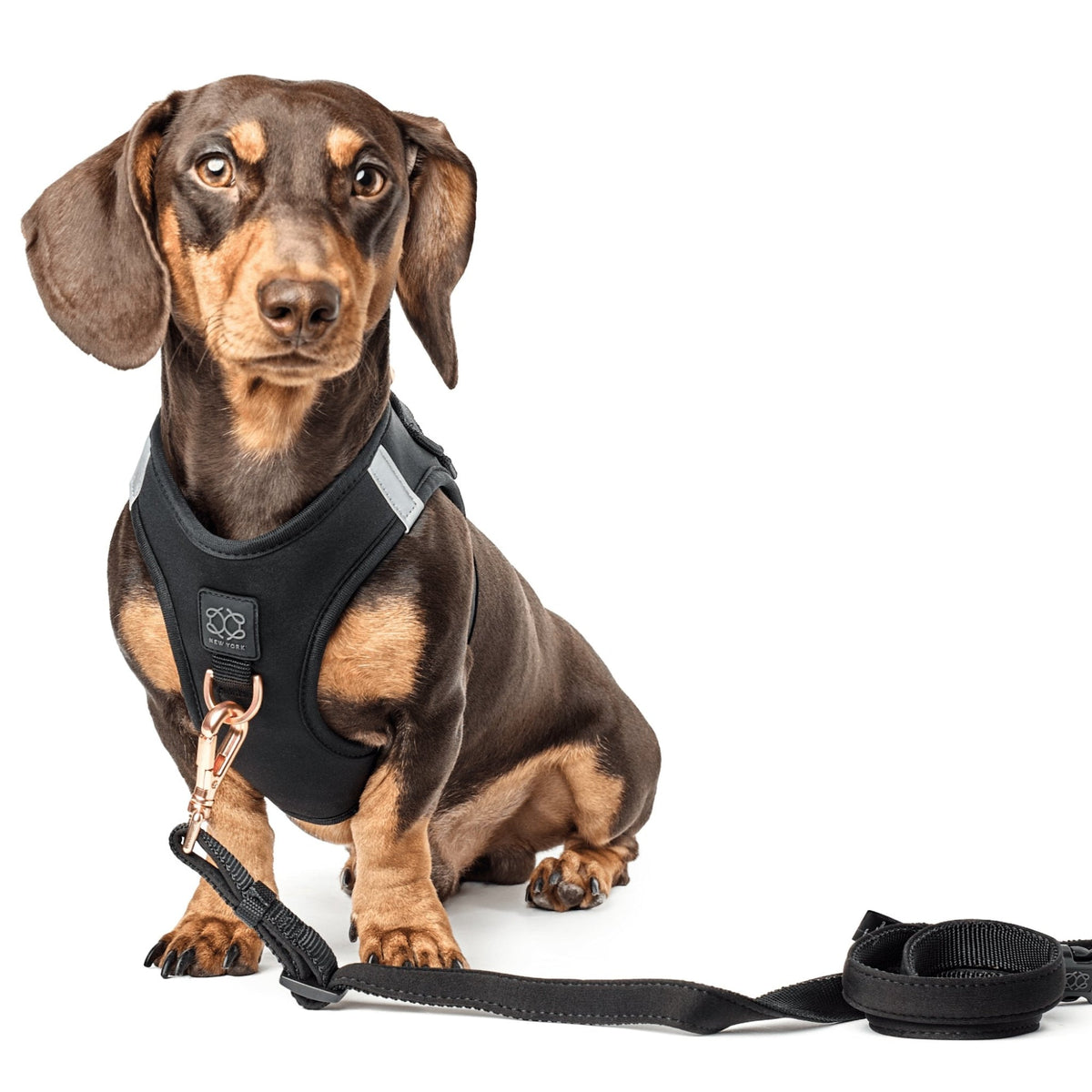 City Leash Set - Black