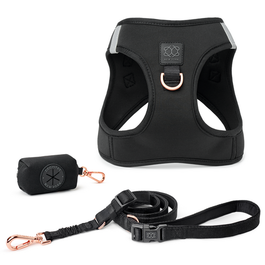 SoHo Dog Walking Set - Black