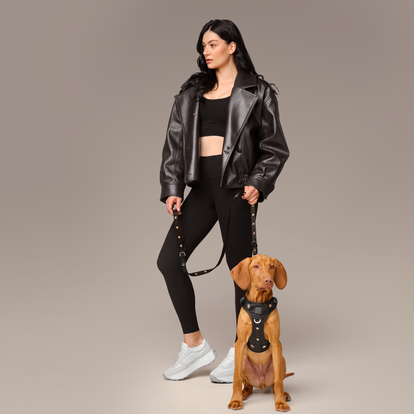 NoMad Adjustable Dog Walking Set - Rockstar