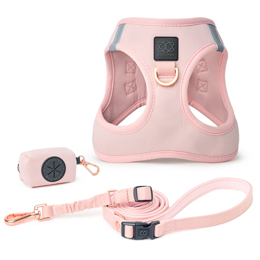 SoHo Dog Walking Set - Blush Pink