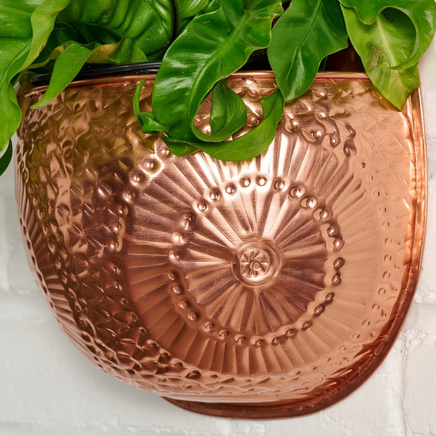 Dekhava Embossed Wall Planter