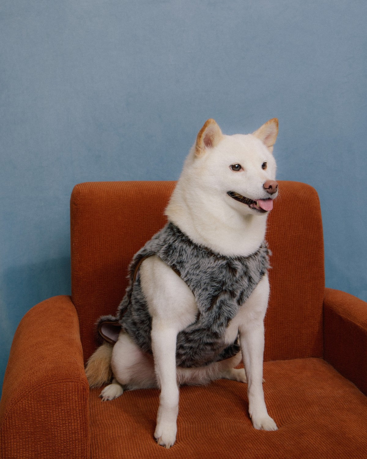 The Pastoris | Luxury Faux Fur Dog Coat | Mocha Purple