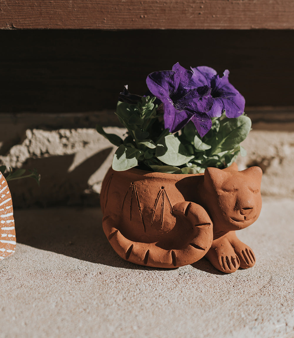 Rakshana Cat Plant Pot - Terracotta - Osadia Concept Store