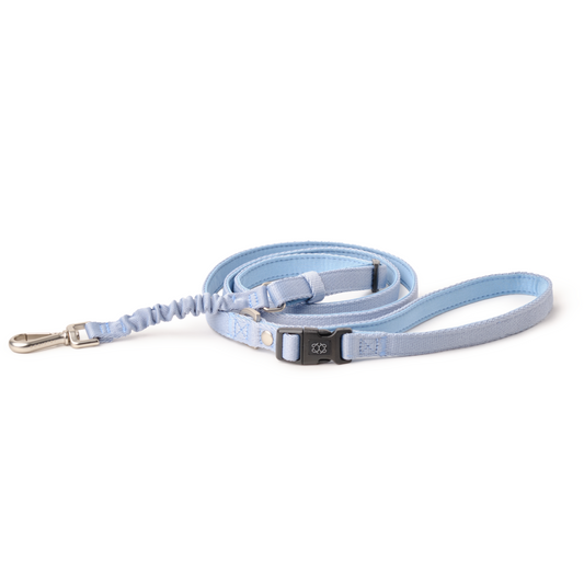 3-in-1 City Dog Leash - Rockstar Hudson
